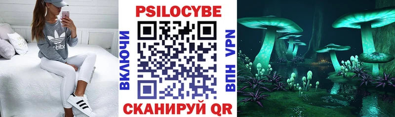 Галлюциногенные грибы GOLDEN TEACHER  Всеволожск 