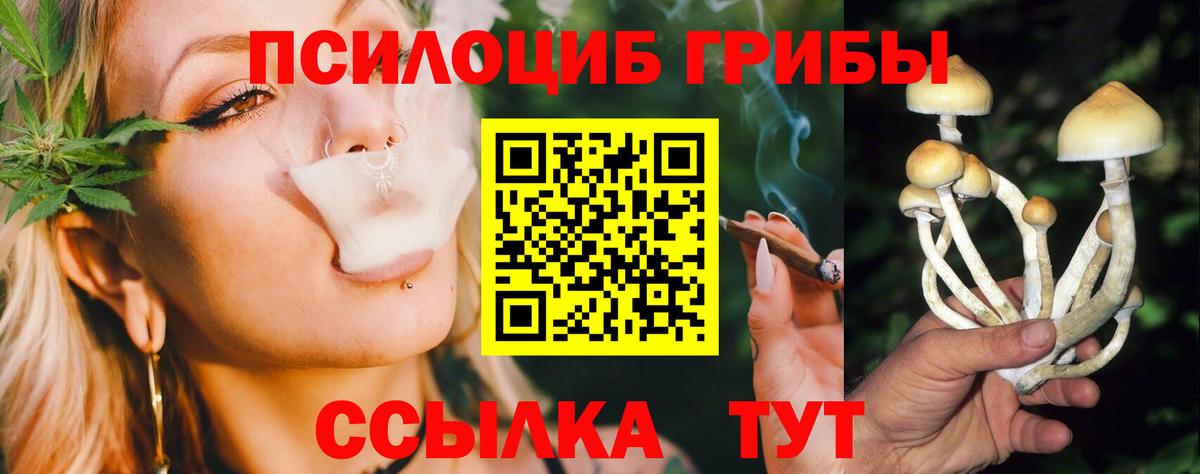 Галлюциногенные грибы мухоморы Всеволожск